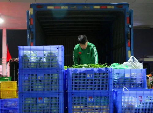 菜丁樂昌農(nóng)產(chǎn)品交易中心 大型農(nóng)副產(chǎn)品批發(fā)市場火爆招商，助力初級農(nóng)產(chǎn)品流通