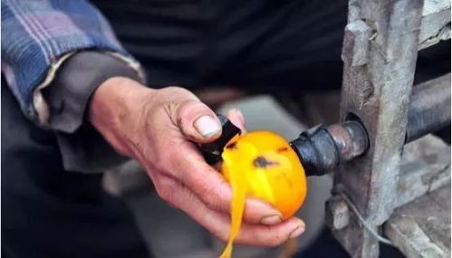 初級農(nóng)產(chǎn)品 農(nóng)業(yè)行業(yè)利潤的隱形“收割機”