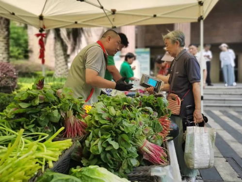 高溫送清涼 菜籃守安康——便民市集讓平價菜與優(yōu)質(zhì)農(nóng)產(chǎn)品走進(jìn)社區(qū)