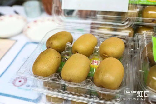 助力脫貧攻堅，品味地道風(fēng)物——魯迅公園特色農(nóng)產(chǎn)品直銷活動正式啟動