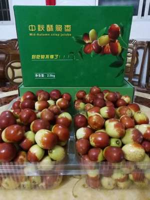 茂名農(nóng)產(chǎn)品種苗批發(fā) 初級農(nóng)產(chǎn)品產(chǎn)業(yè)鏈的活力之源