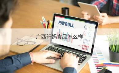 廣西軒媽食品公司概覽 工作時(shí)間、發(fā)展與計(jì)算機(jī)軟硬件業(yè)務(wù)