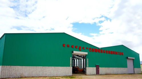 高原黑金 錫林郭勒羊糞如何成為國家地標(biāo)農(nóng)產(chǎn)品的秘密